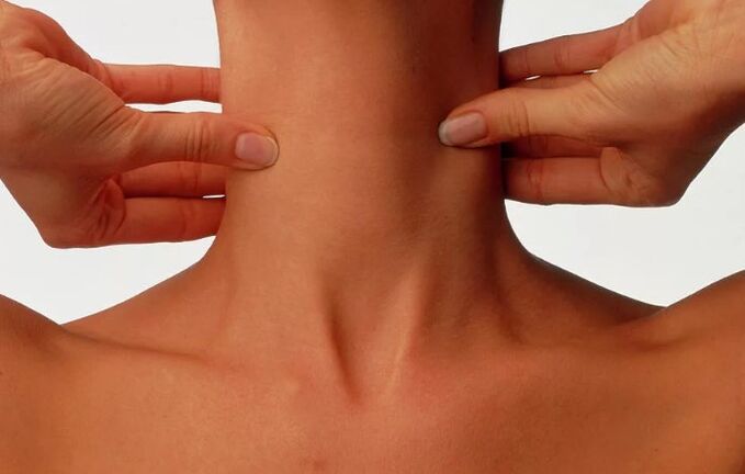 Neck